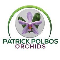 Patrick POLBOS